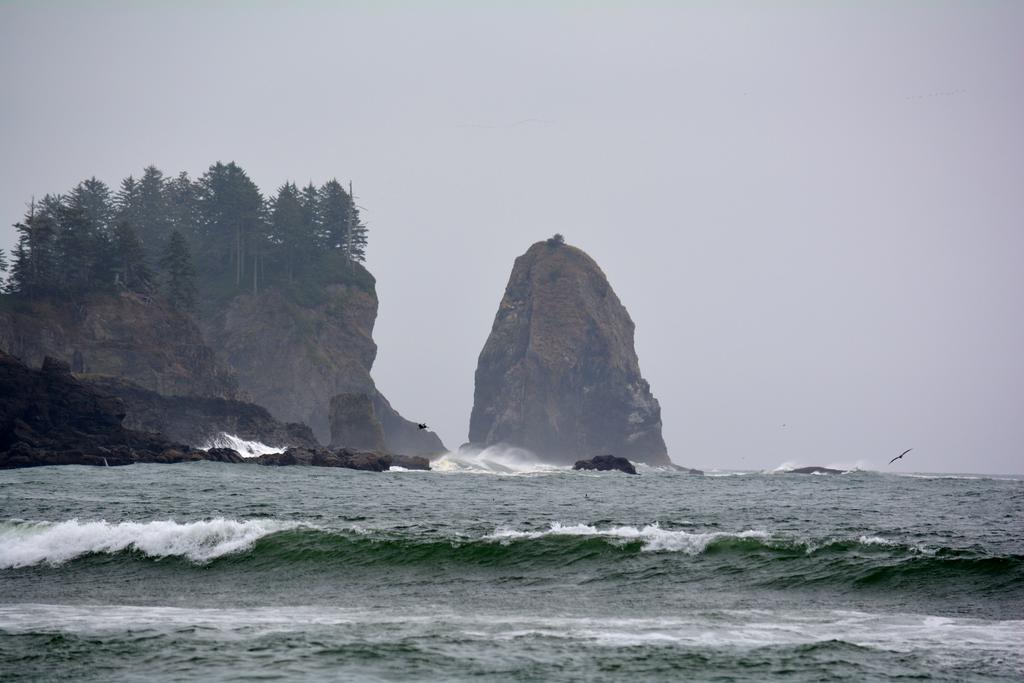 Super 8 By Wyndham At Olympic National Park 3*