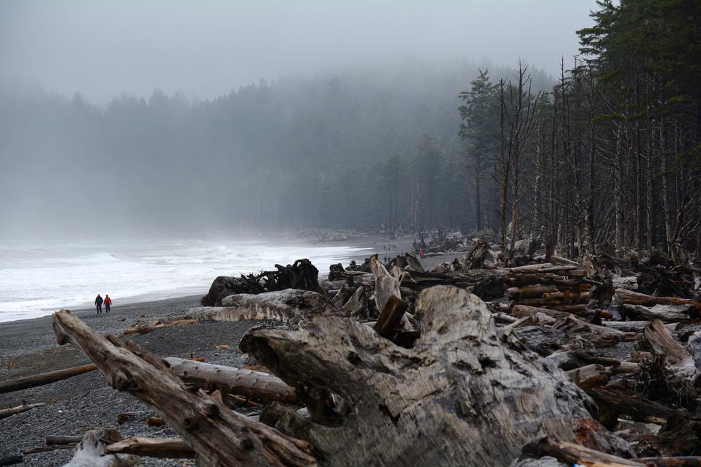 Super 8 By Wyndham At Olympic National Park